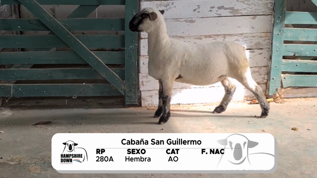 Lote LOTE 9 A CAMPO - RP 280A
