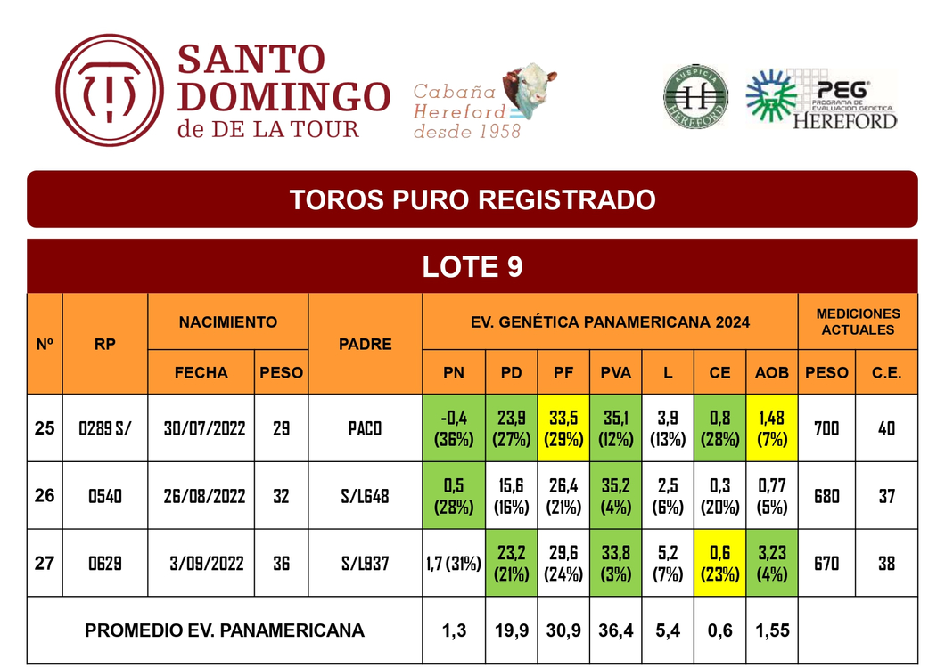 Lote TOROS PR (LOTES) - ( Incluye S/ )