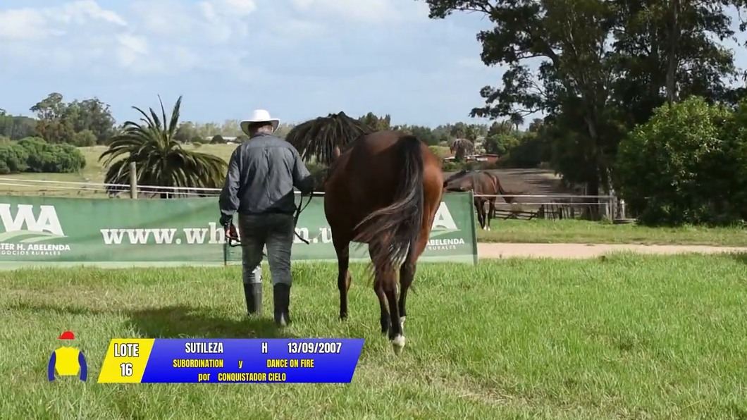Lote SUTILEZA