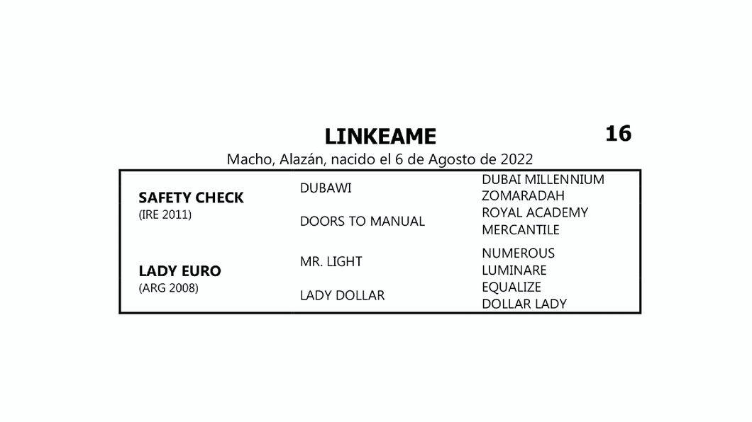 Lote LINKEAME (SAFETY CHECK -  LADY EURO por  MR.LIGHT)