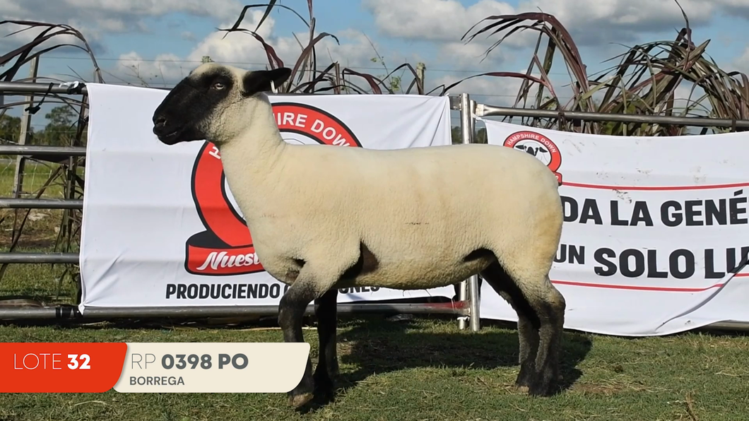 Lote Lote 32