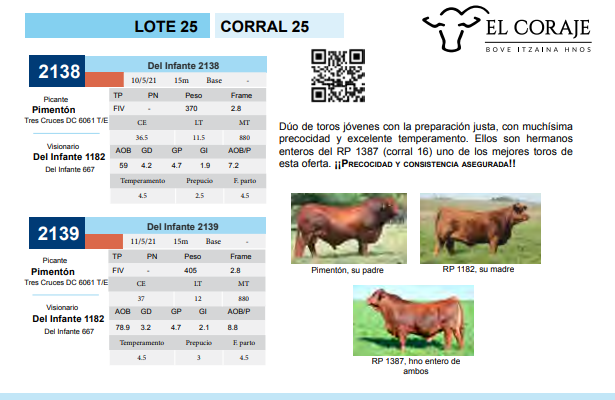 Lote CORRAL 25