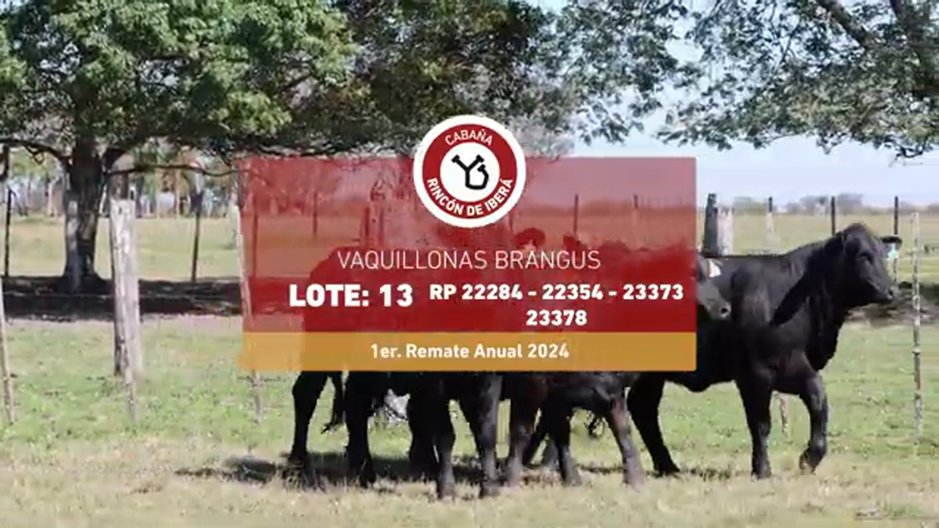 Lote RINCON IBERA 22284