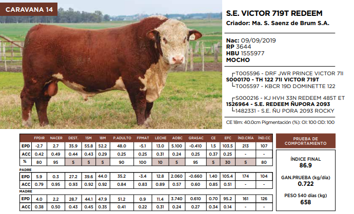 Lote S.E. VICTOR 719T REDEEM  (GRUPO 1)