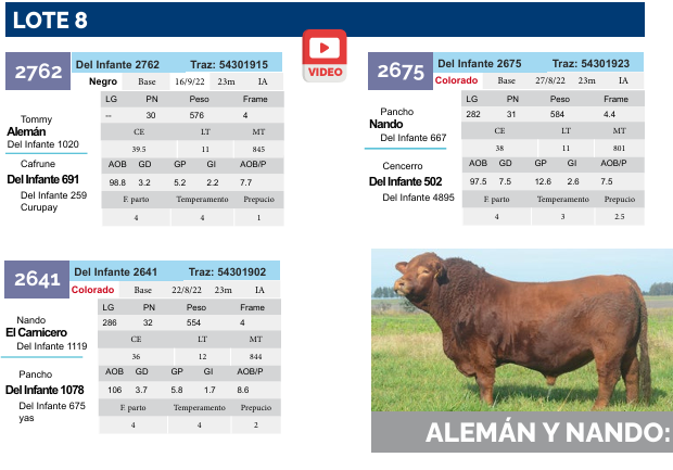 Lote Lote 8