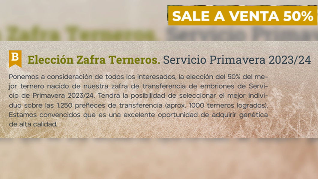 Lote LOTE B- SALE A VENTA EL 50%