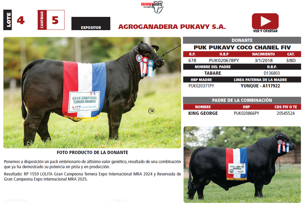 Lote LOTE 4