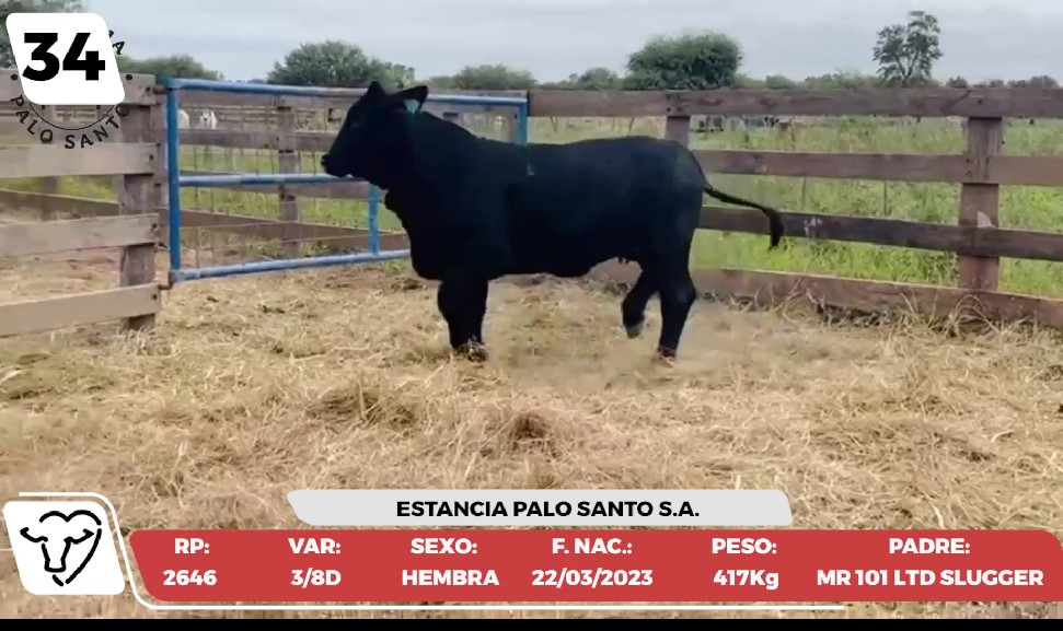 Lote LOTE 34