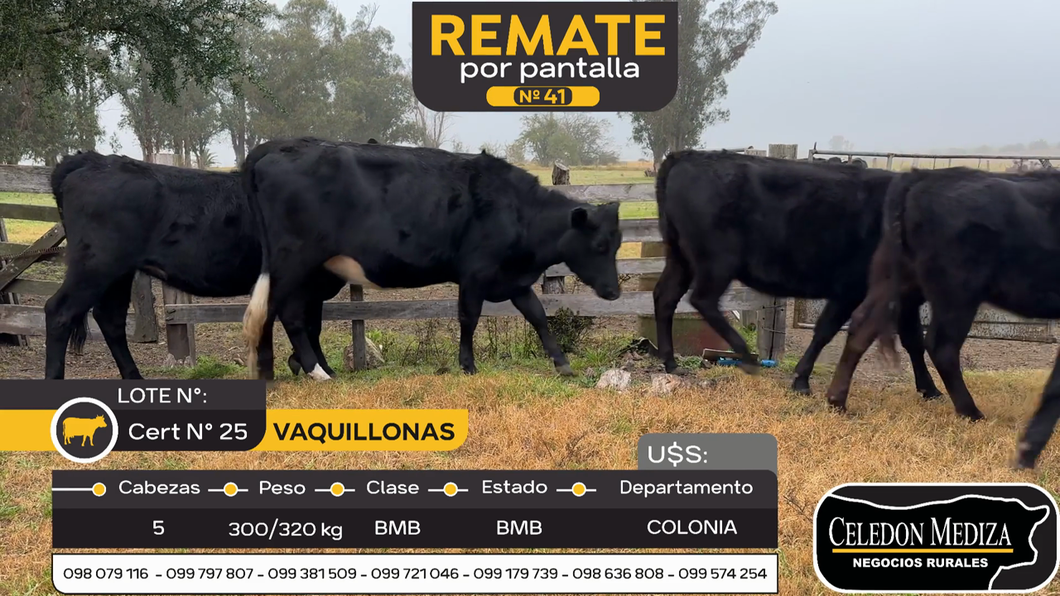 Lote 5 Vaquillonas  en Miguelete, Colonia