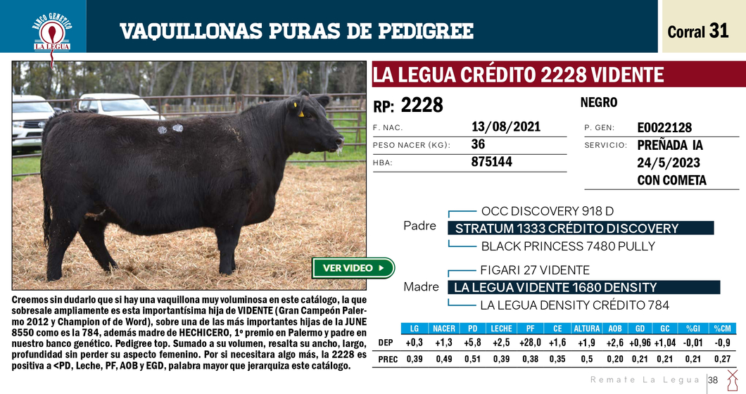 Lote VAQUILLONAS PP REMATE