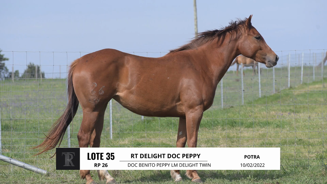 Lote RT DELIGHT DOC PEPPY