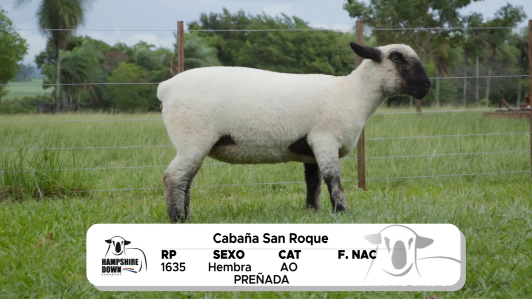 Lote LOTE 4 A CAMPO - RP 1635