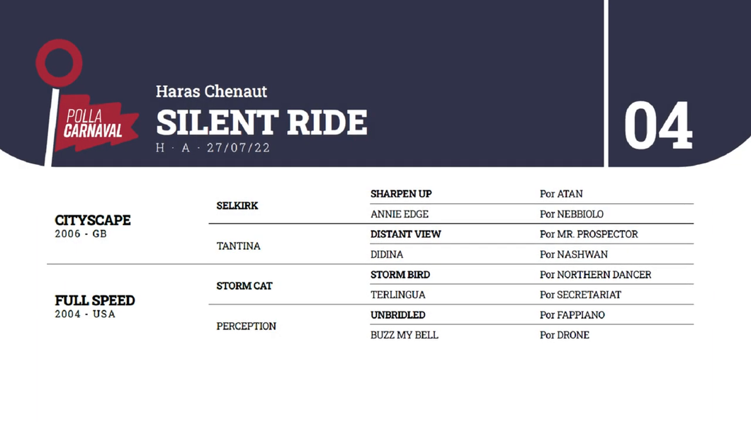 Lote SILENT RIDE