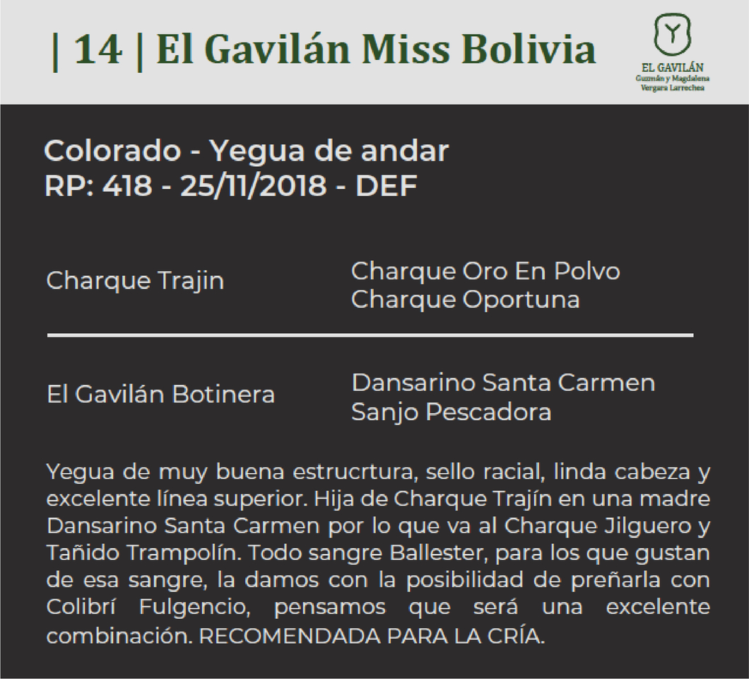 Lote El Gavilán Miss Bolivia (RP 418) "Cañada El Gavilán"
