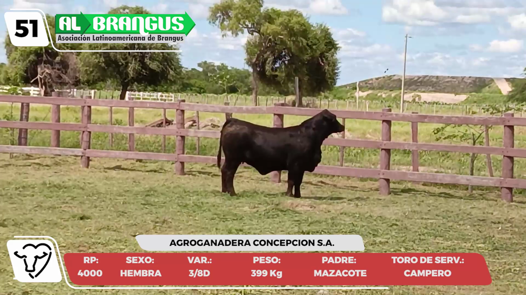 Lote LOTE 51 -CAMPO