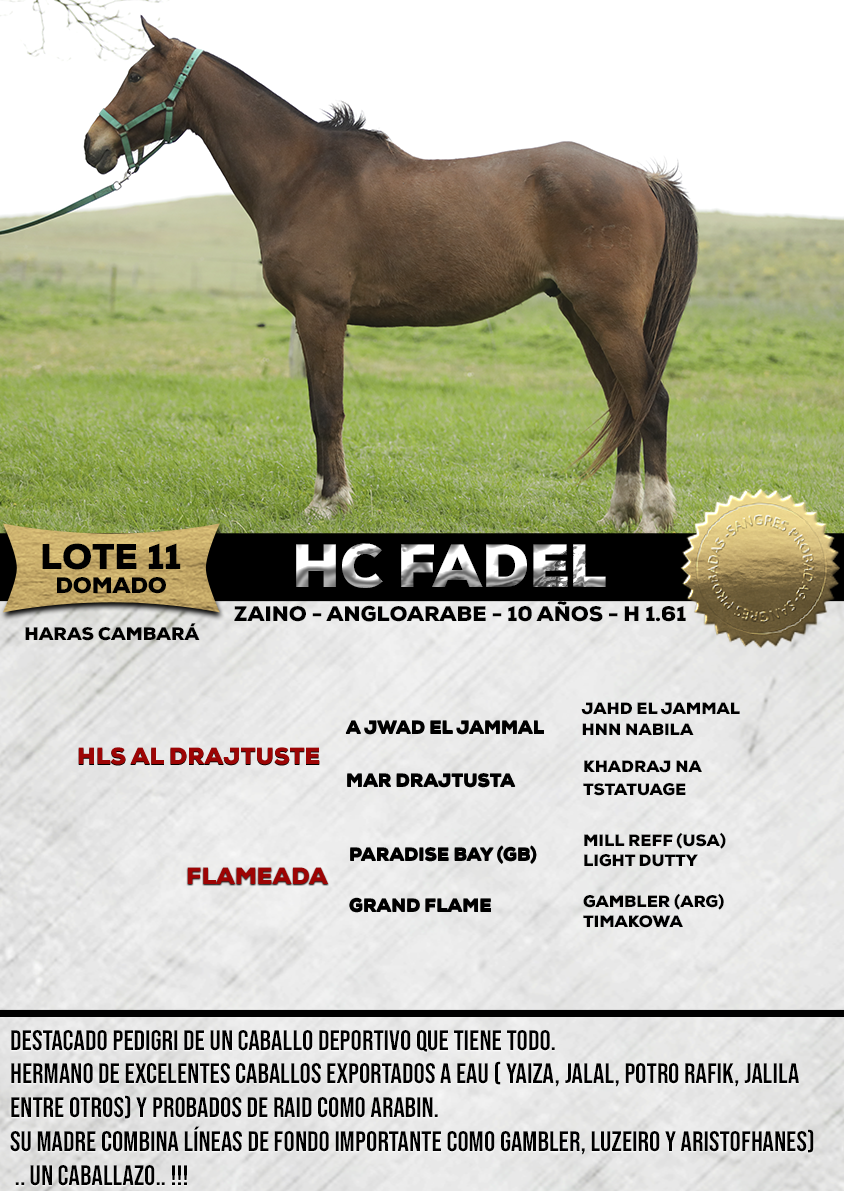 Lote HC FADEL