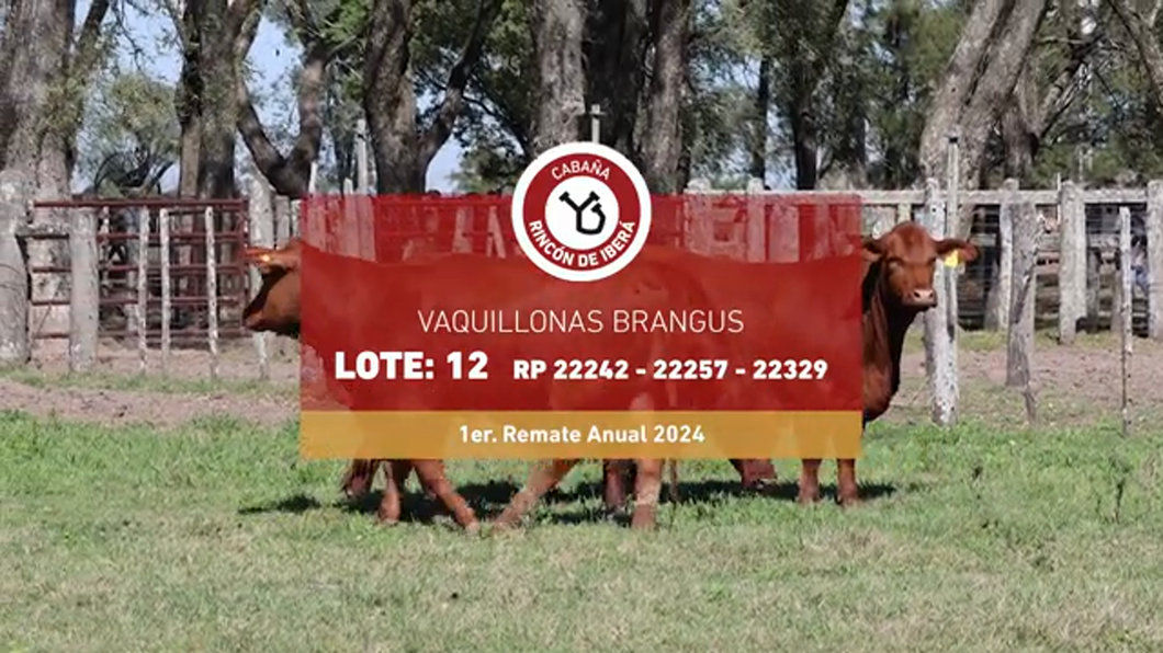 Lote RINCON IBERA 22242