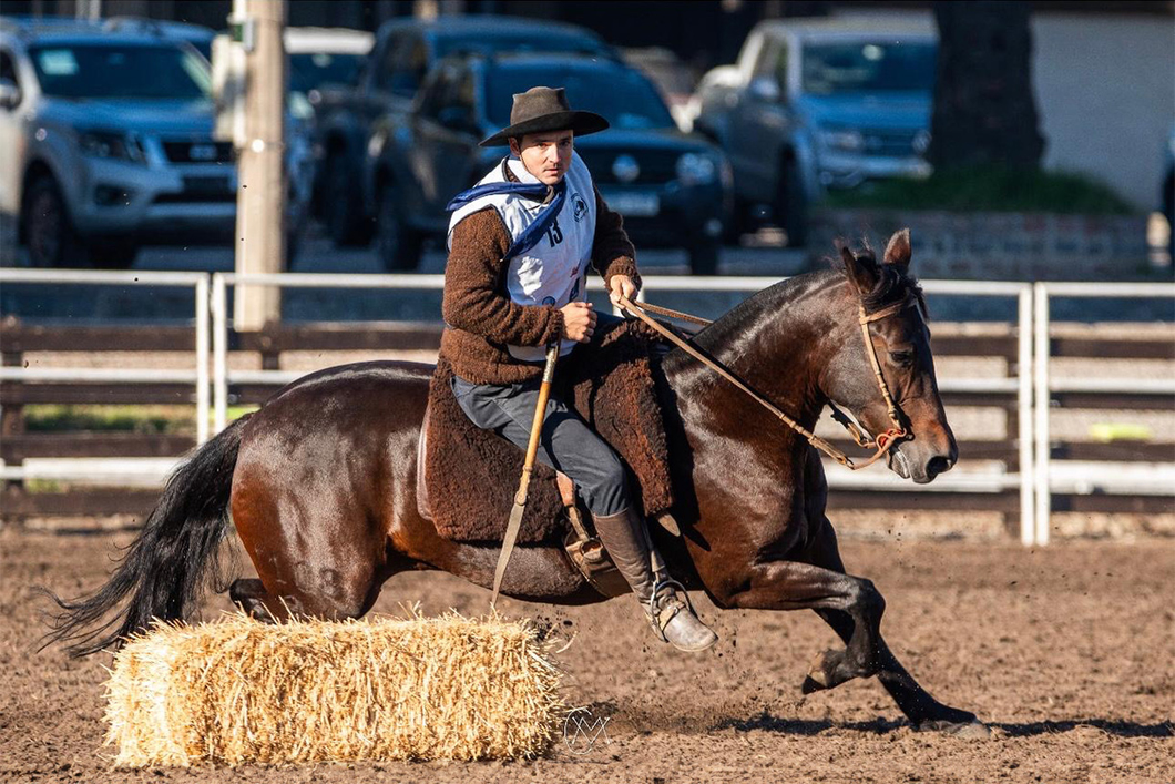 Lote QUELEN YERBA BUENA (Embrion)