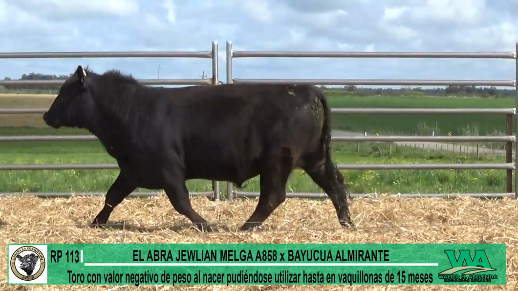 Lote Toros a remate en Cabaña La Franqueira, Florida