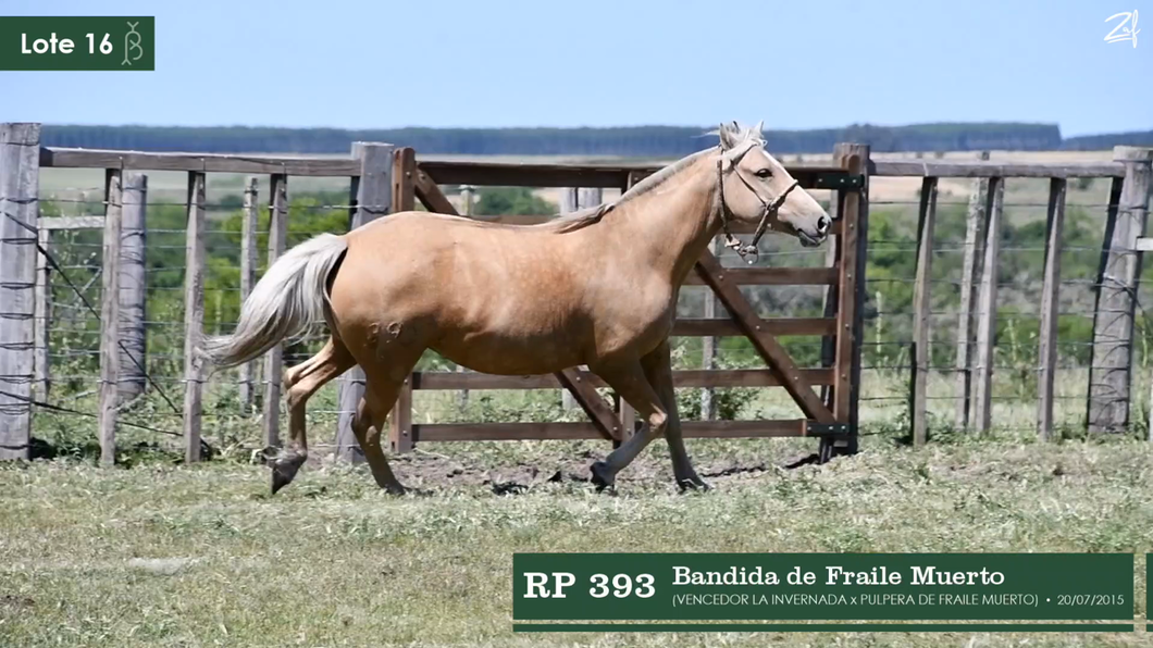 Lote Bandida de Fraile Muerto