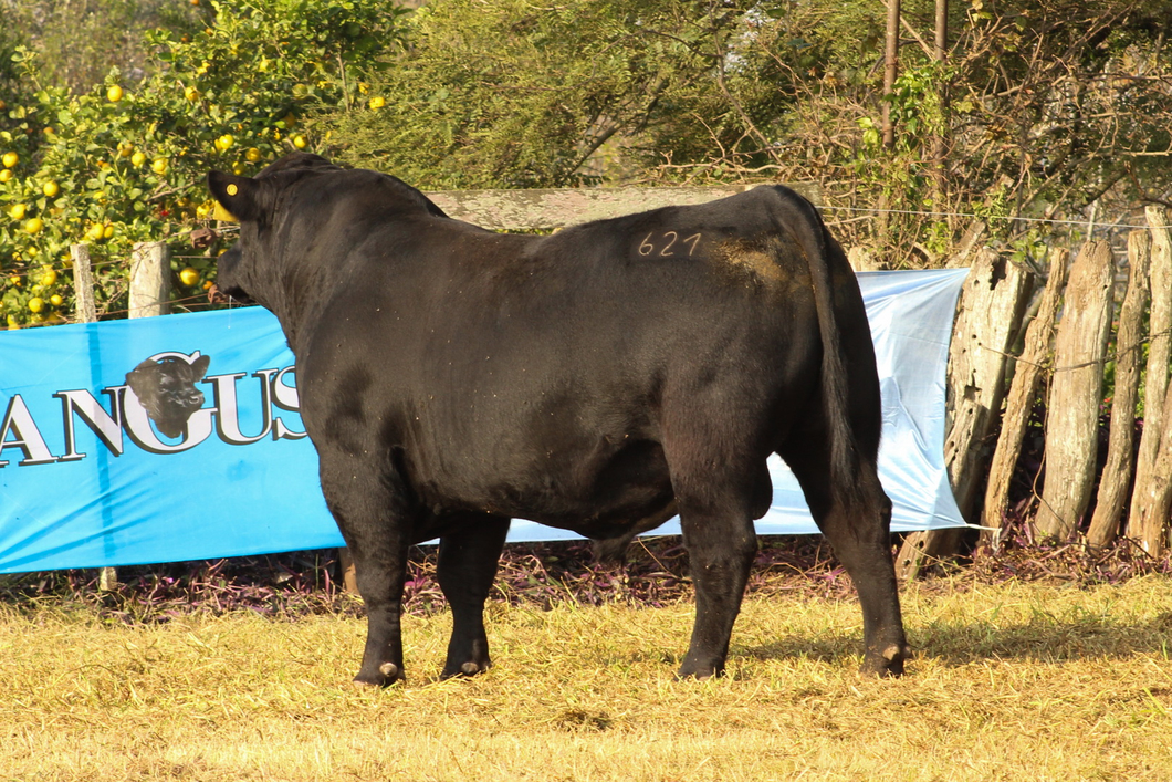 Lote CABAÑA COEMBOTÁ: RP 621