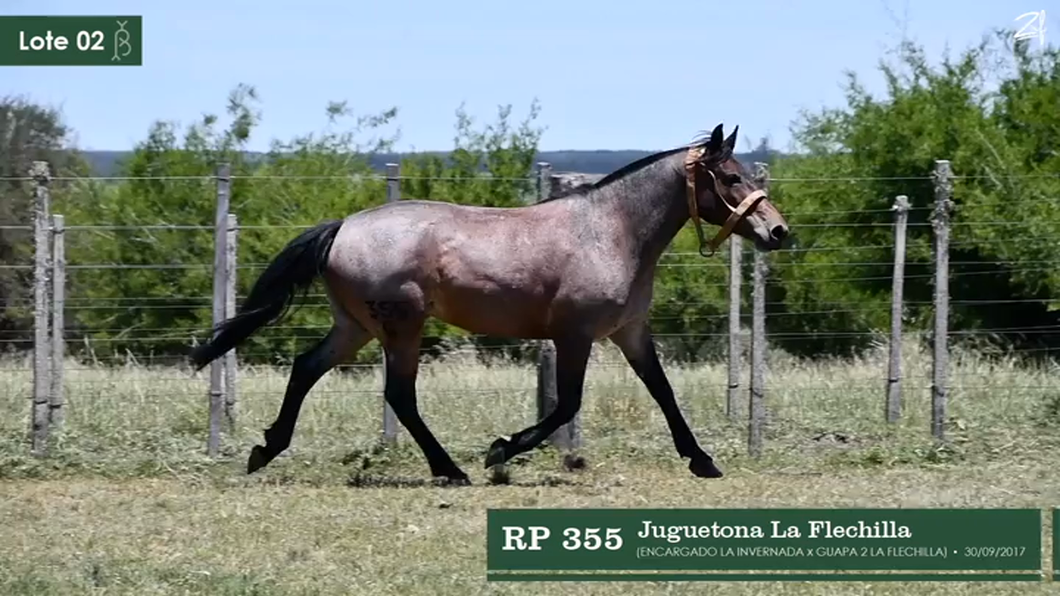 Lote Juguetona La Flechilla