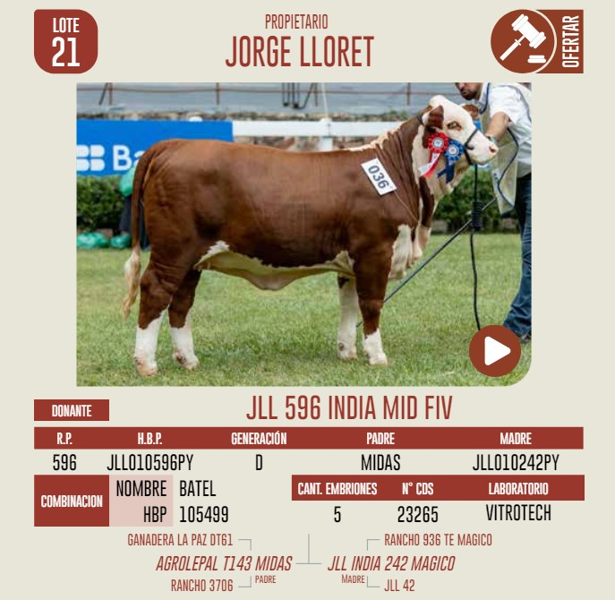 Lote LOTE 21