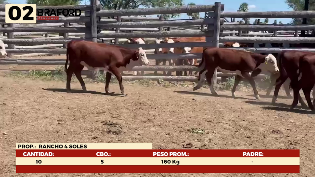 Lote LOTE 2