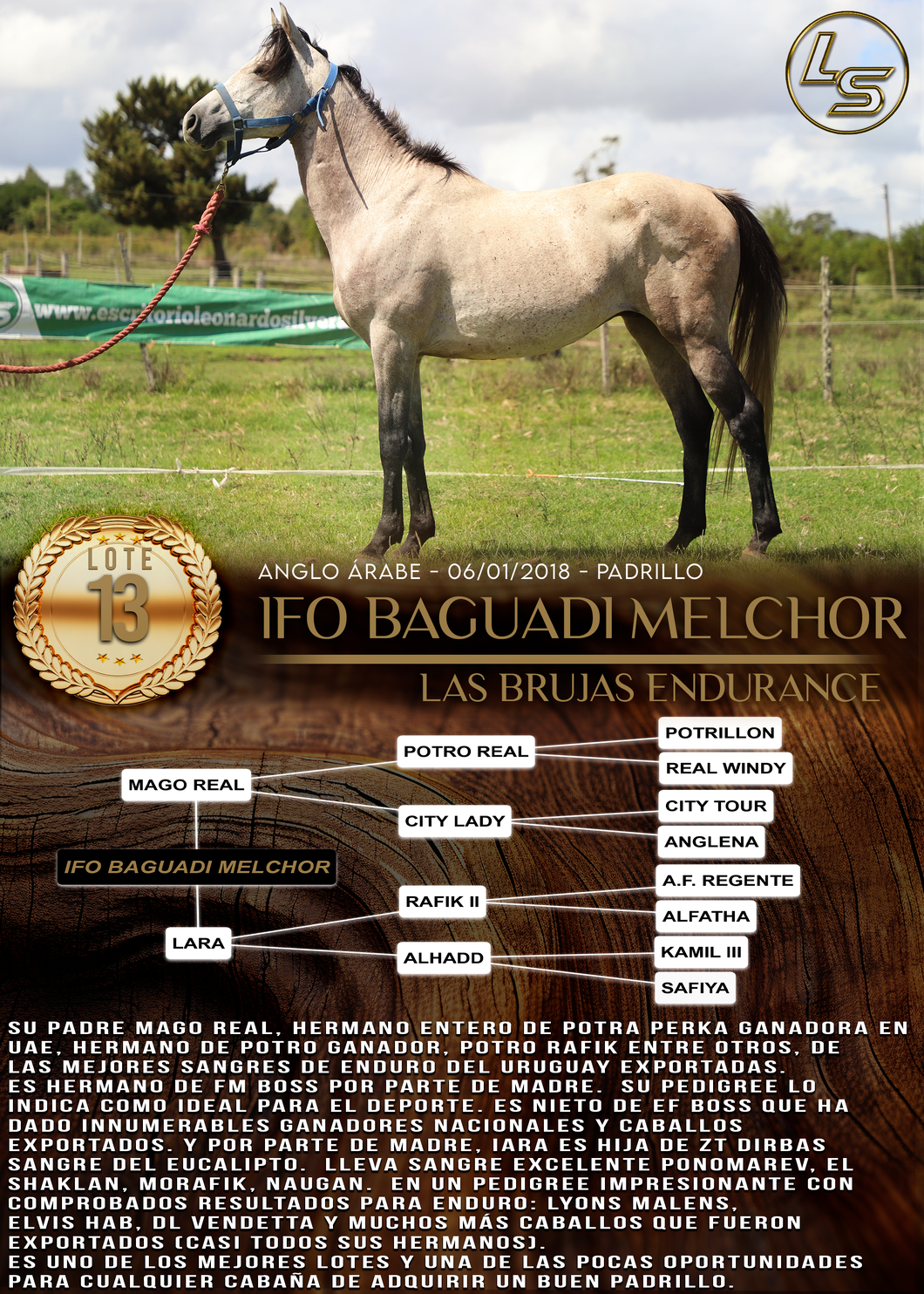 Lote IFO BAGUADI MELCHOR