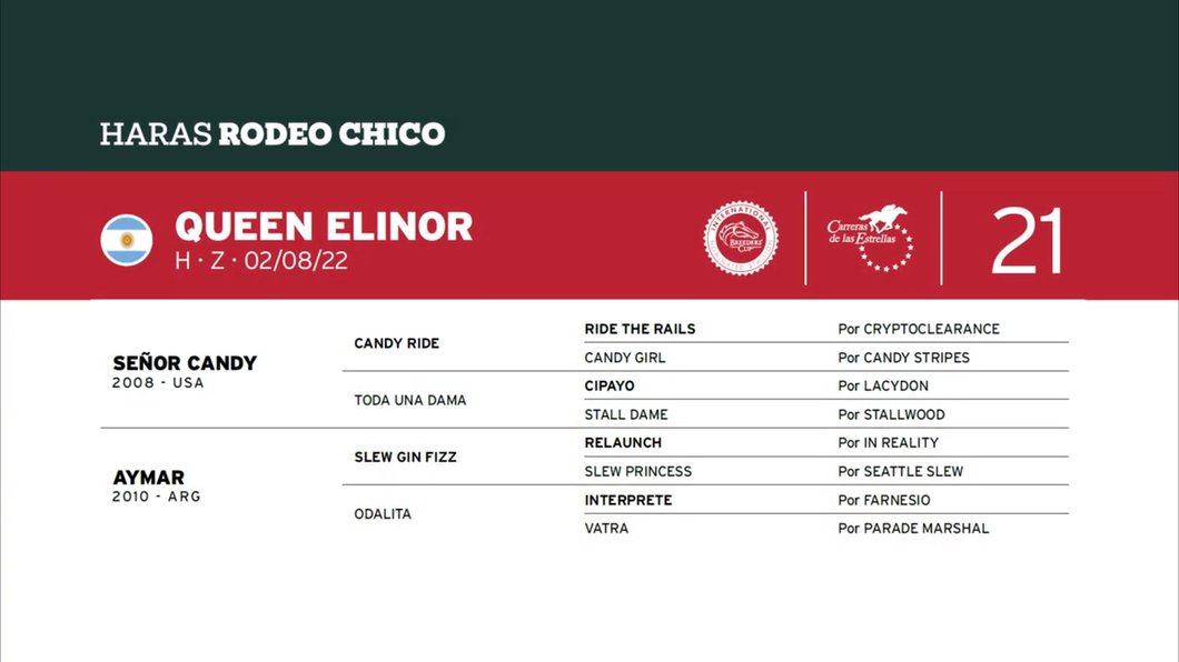 Lote QUEEN ELINOR