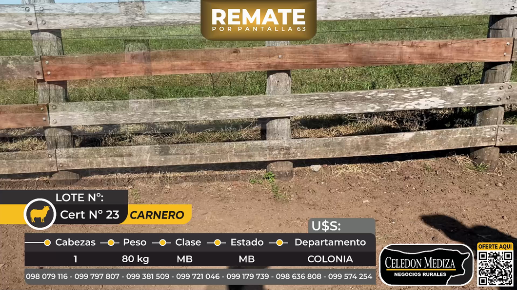 Lote 1 Carneros en Víboras, a 15 km de Carmelo, Colonia