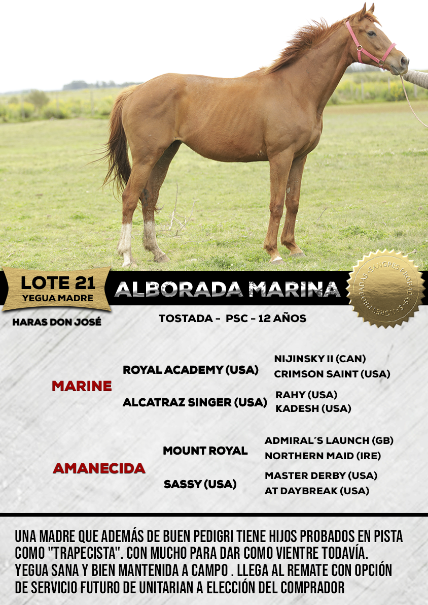 Lote ALBORADA MARINA