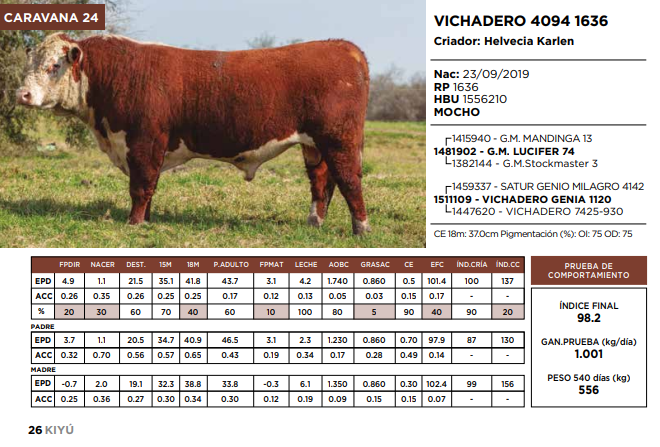 Lote VICHADERO 4094 1636  (GRUPO 2)