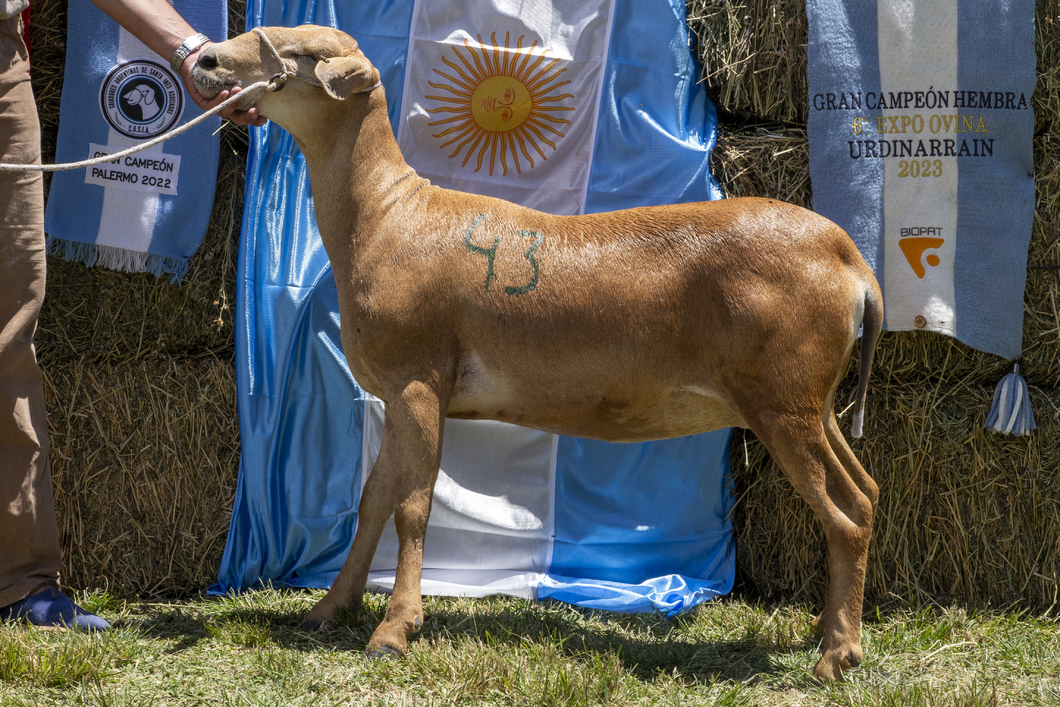 Lote SANTA INES P.P.C.