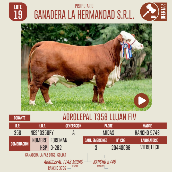 Lote LOTE 19