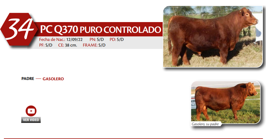 Lote MACHO PC