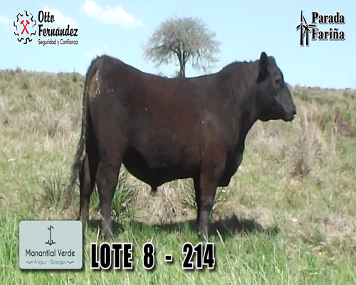 Lote LOTE 8