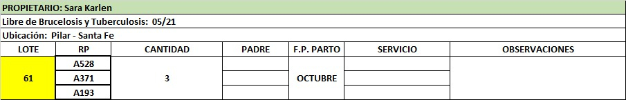 Lote Lote 61 Sara Karlen