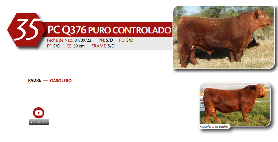 Lote MACHO PC