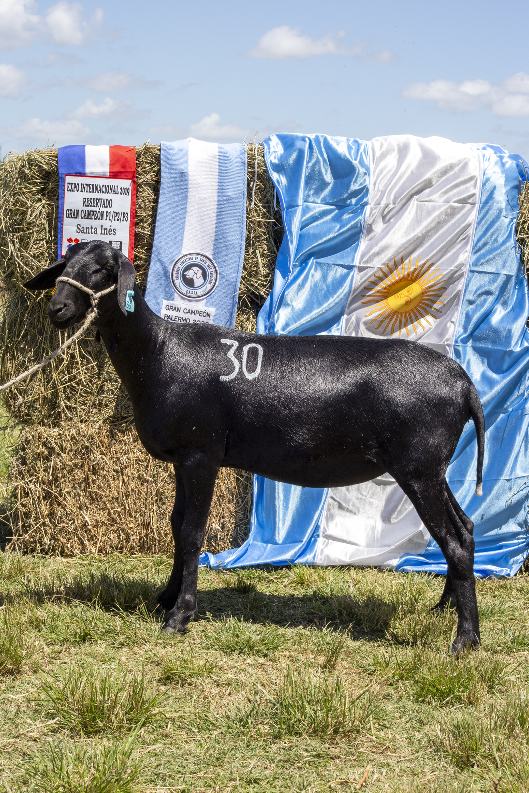 Lote SANTA INES P.P.