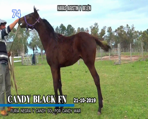 Lote CANDY BLACK FN