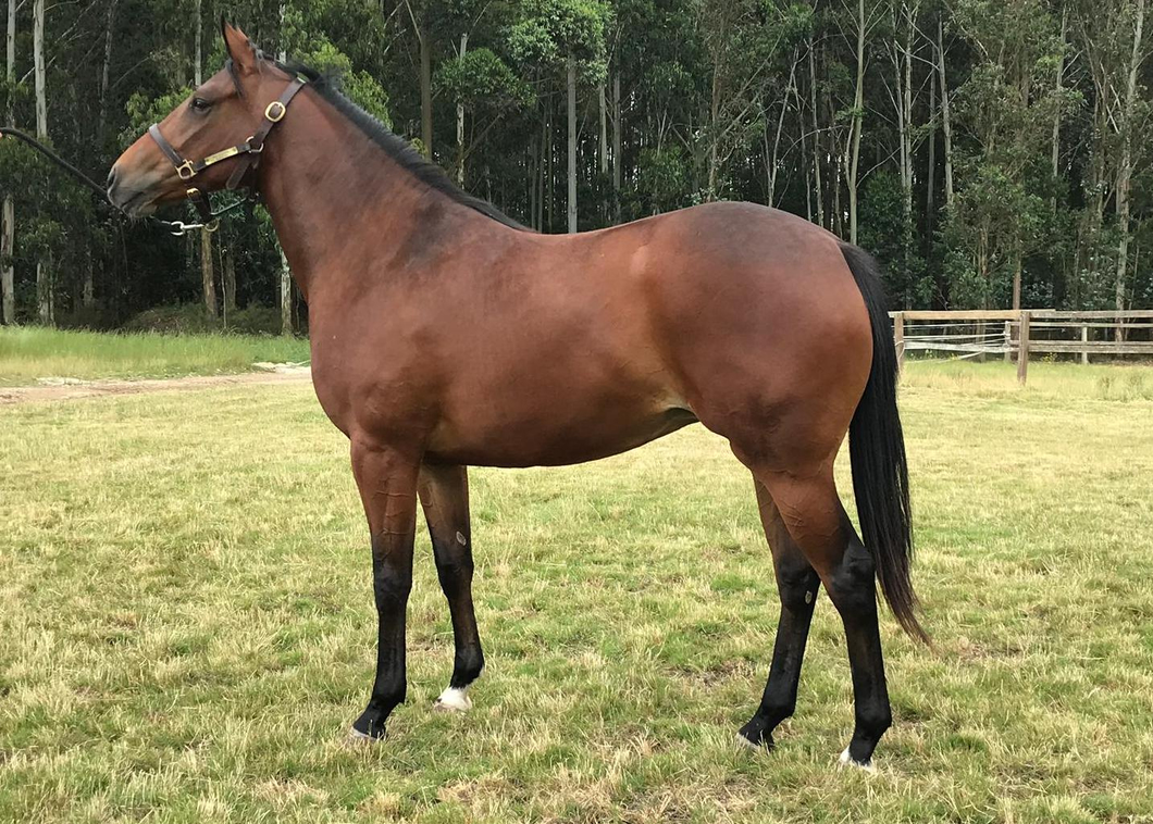 Lote Diosa Del Saba