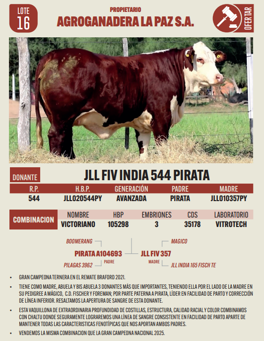 Lote LOTE 16