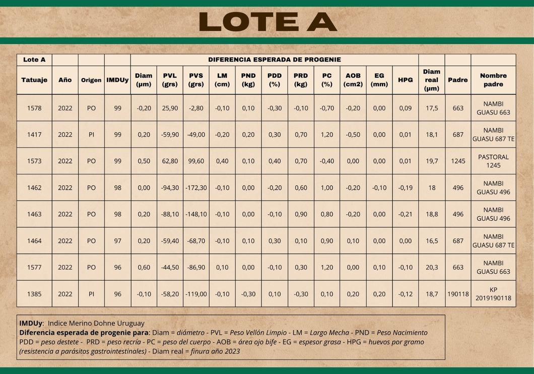 Lote (Vendido)Carneros a remate en Subasta Online - Nambi Guasu, Lavalleja