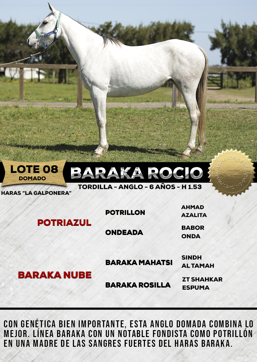 Lote BARAKA ROCIO