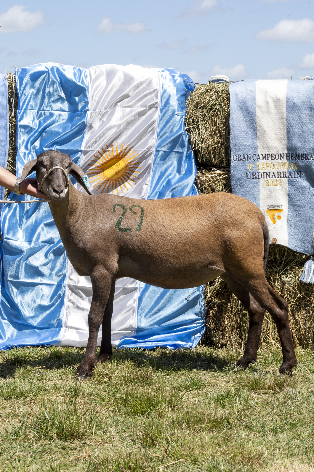 Lote SANTA INES P.P.