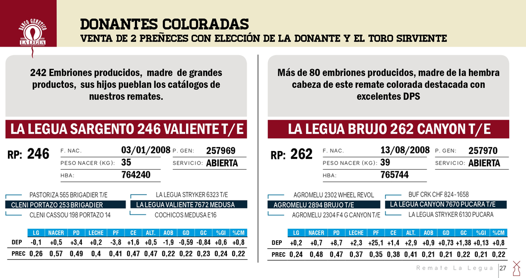 Lote DONANTES