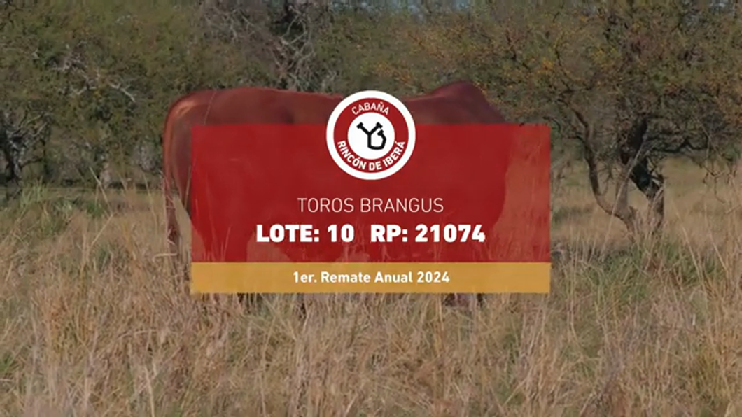 Lote RINCON IBERA 21074