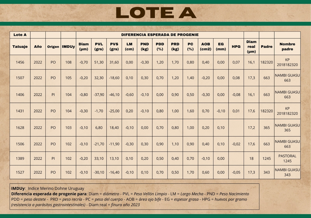 Lote (Vendido)Carneros a remate en Subasta Online - Nambi Guasu, Lavalleja