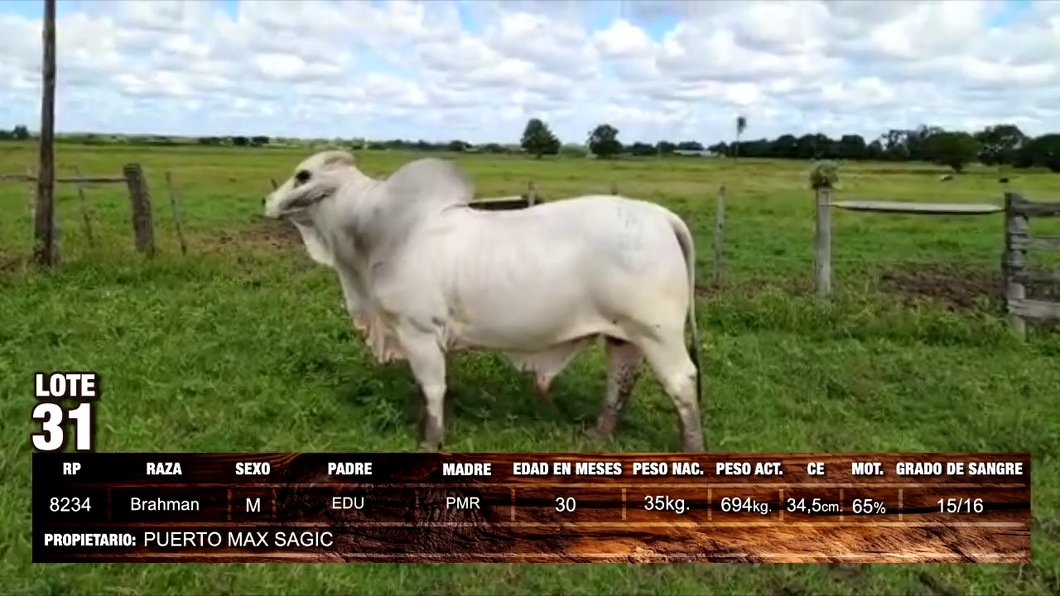 Lote Brahman
